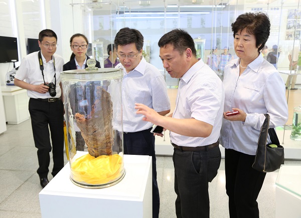 JDB����(�й���)���ٷ���վ