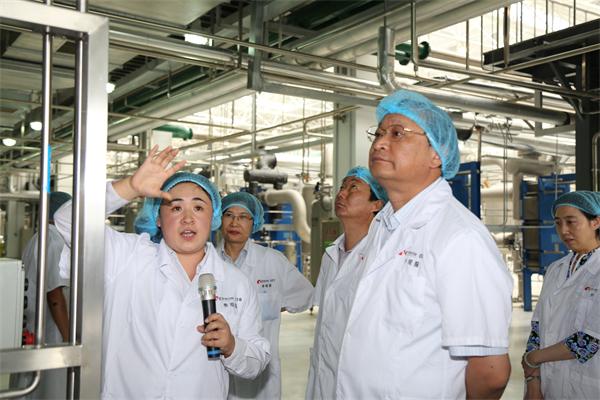 JDB����(�й���)���ٷ���վ