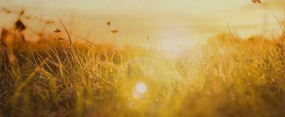 Jiangsu Kanion Pharmaceutical Co, Ltd. ����� ���ѧӧ� �٧ѧ�ڧ�֧ߧ�