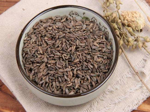 ���ѧݧ�ܧ� fructus arctii