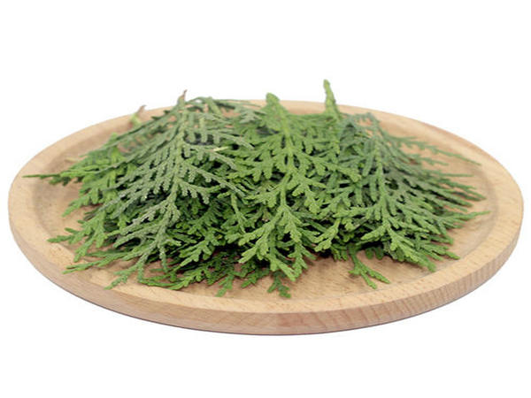 ���ܧѧާ֧ߧ֧ݧѧ� �ҧڧ���