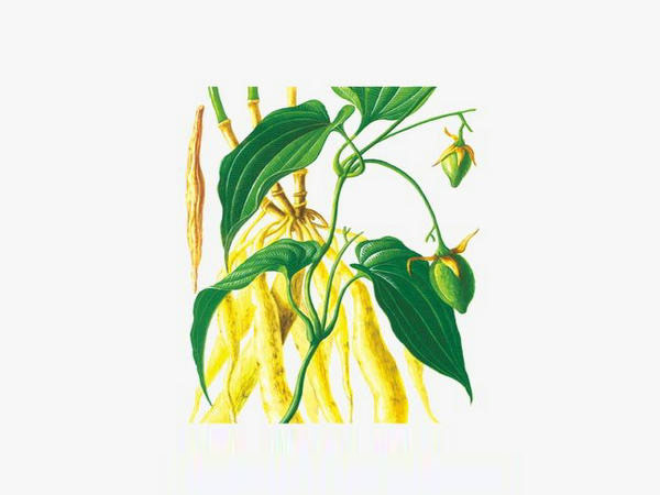 ����֧ާ�ߧ� ���ҧ֧��٧� �����