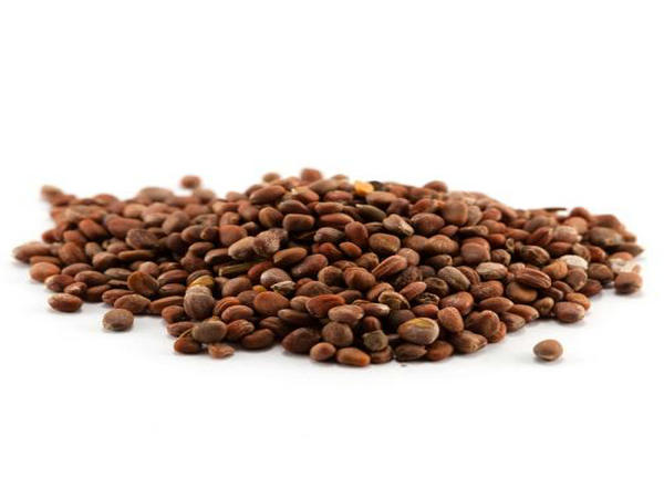 ���ѧ�֧ߧ��� ��֧ާ֧ߧ� ��֧էڧ��