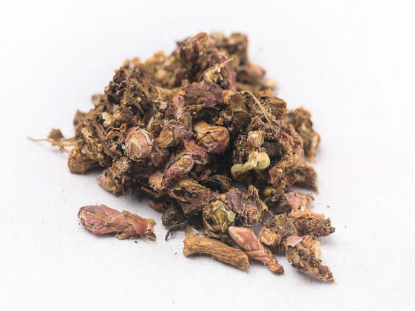 ���ݧ�� ���ѧ��ѧ��