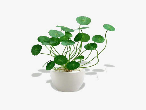 ���֧�ҧ� ���ڧ�ڧާѧ�ڧ�