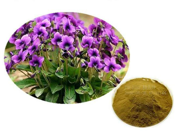 ���ڧ�ݧ� ���ڧݧڧ��ڧߧ�ܧѧ�