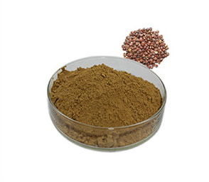 ���ܧ���ѧܧ� ���֧�ާ� Ziziphi Spinosae