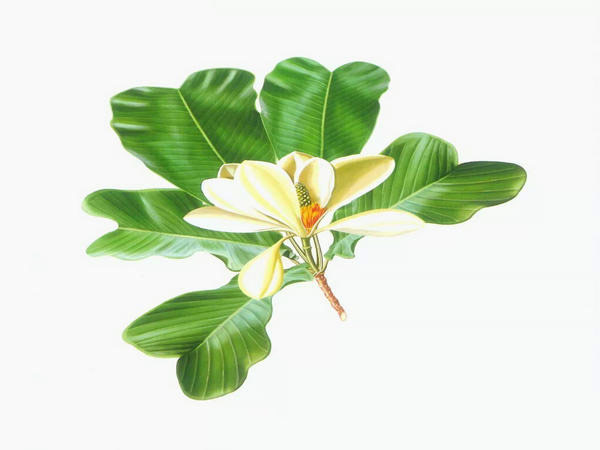 ���ѧԧߧ�ݧڧ� �ݧ֧ܧѧ���ӧ֧ߧߧѧ�